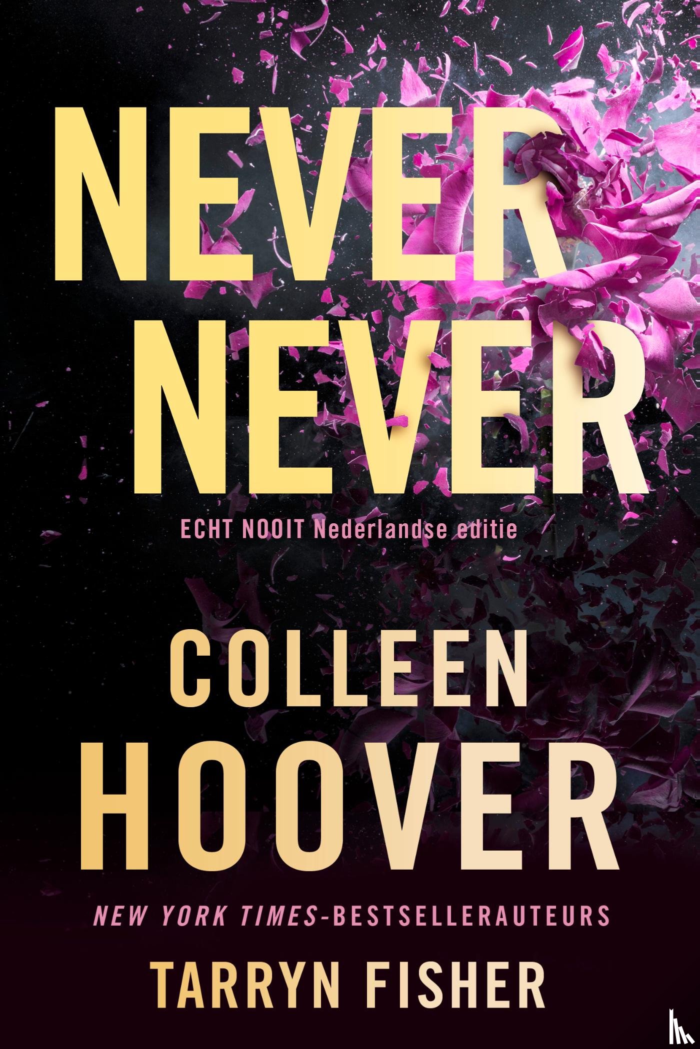 Hoover, Colleen, Fisher, Tarryn - Never never