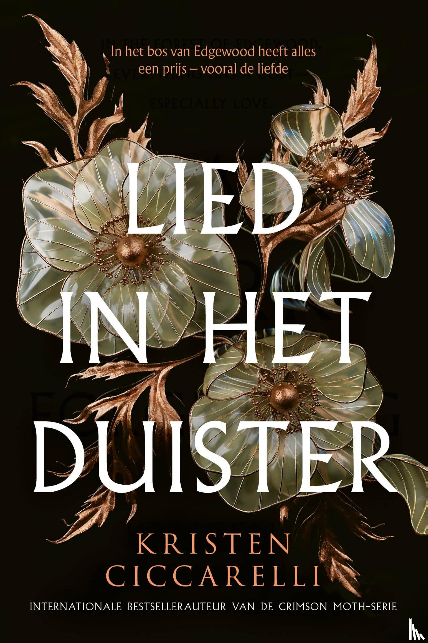 Ciccarelli, Kristen - Lied in het duister