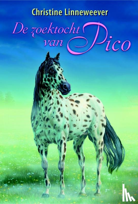 Linneweever, Christine - De zoektocht van Pico