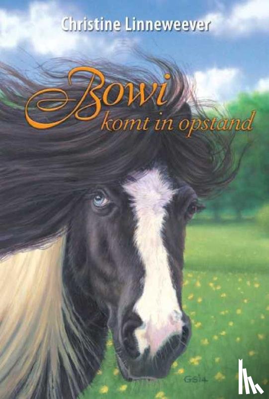 Linneweever, Christine - Bowi