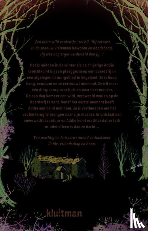 Bailey, Susanna - Het meisje en het veulen