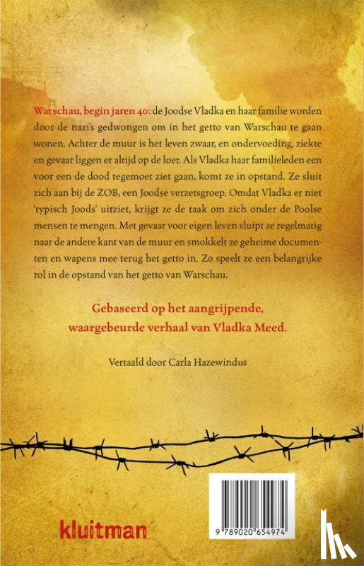 Greene, Joshua M. - Het meisje aan de andere kant van de muur