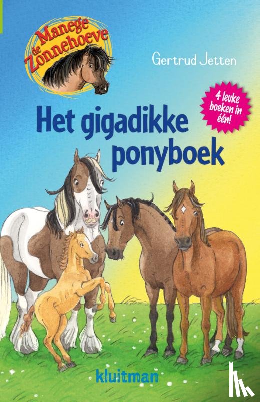 Jetten, Gertrud - Het gigadikke ponyboek