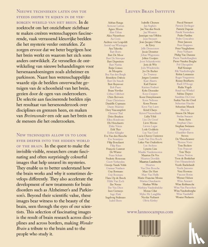 Vandenbulcke, Mathieu, Jeugd, Ann Van der - Breinwonder / Wonder Brain