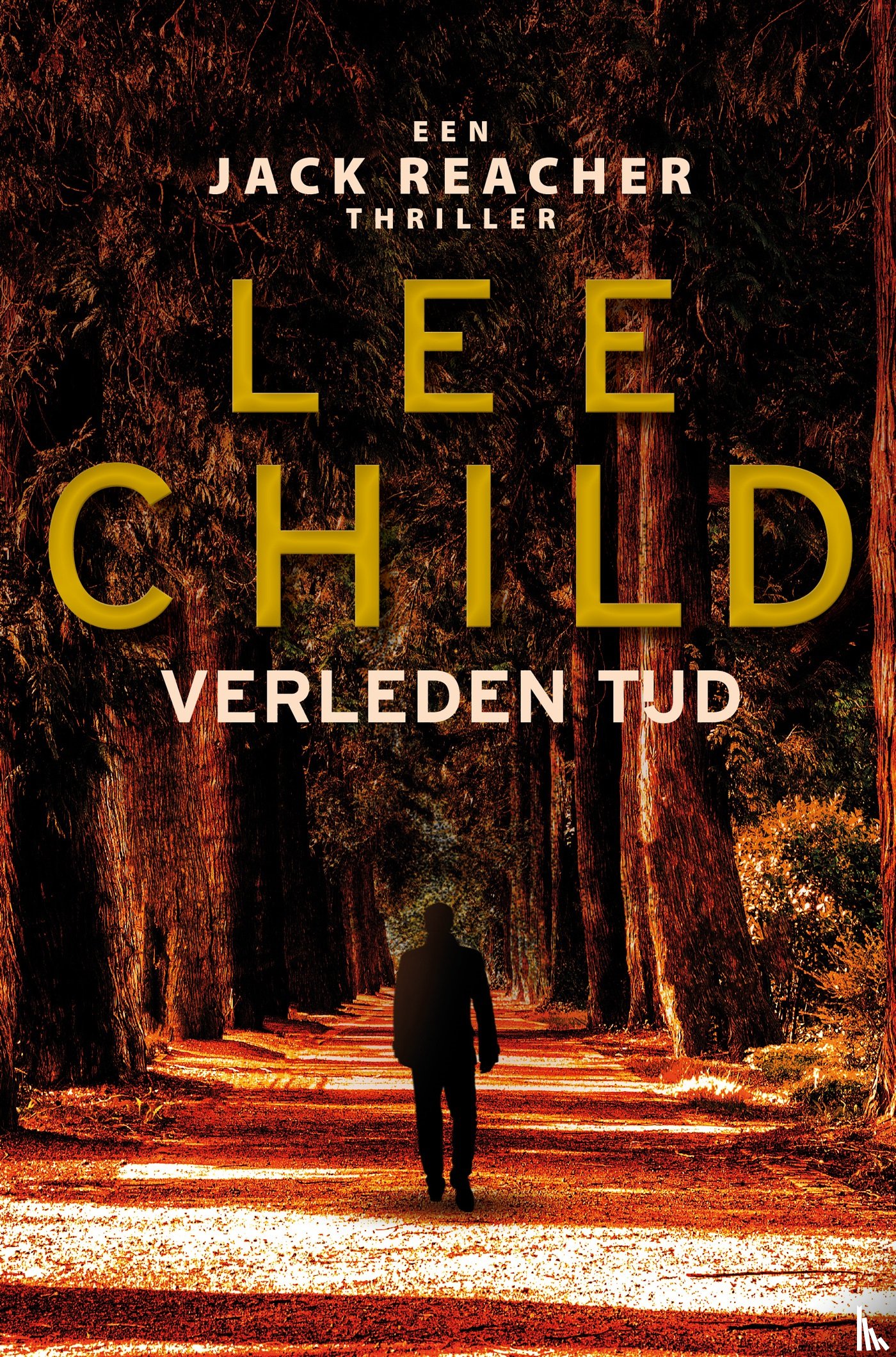 Child, Lee - Verleden tijd