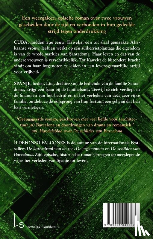 Falcones, Ildefonso - De vrouwen van de suikerrietplantage