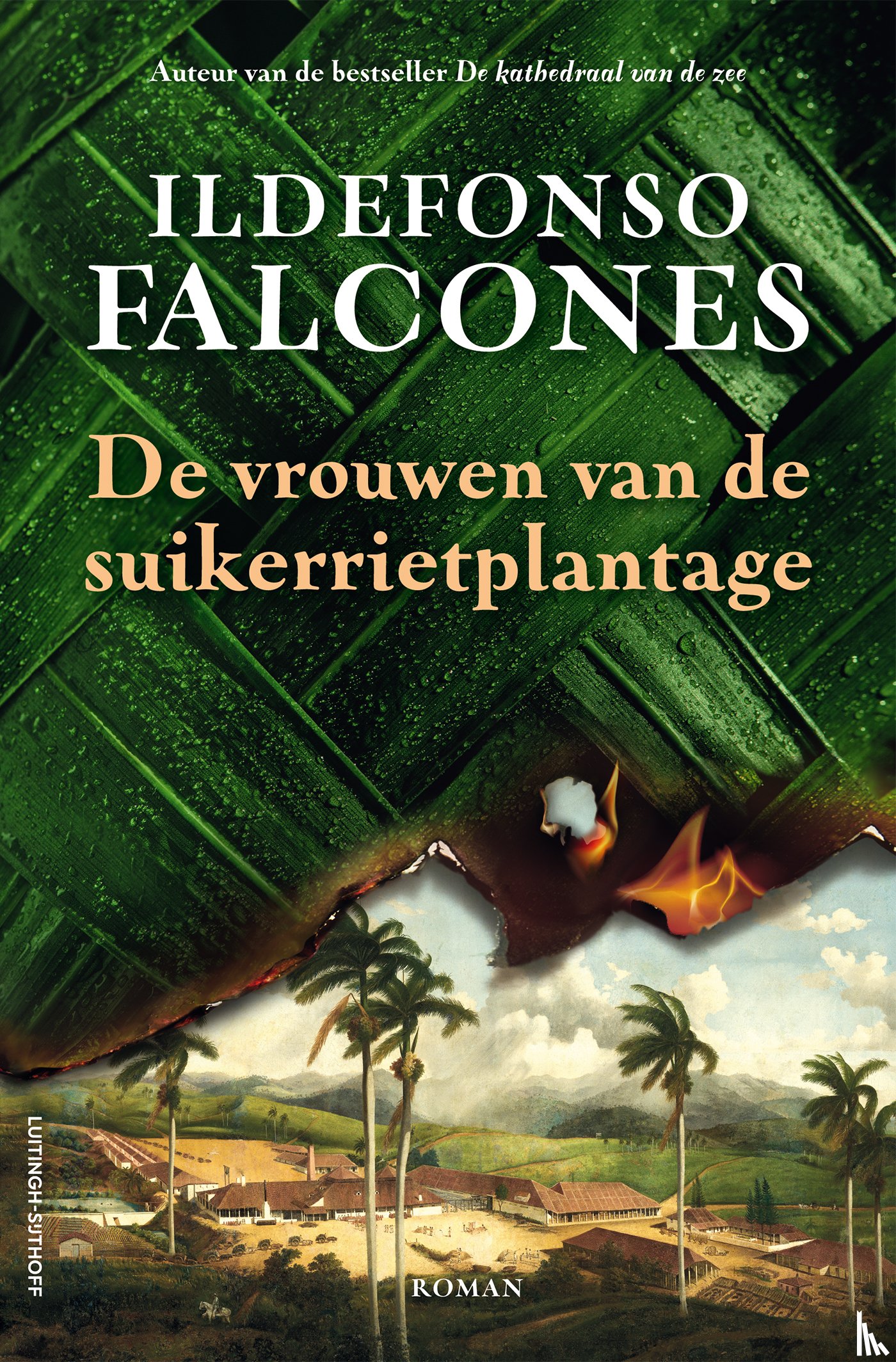 Falcones, Ildefonso - De vrouwen van de suikerrietplantage