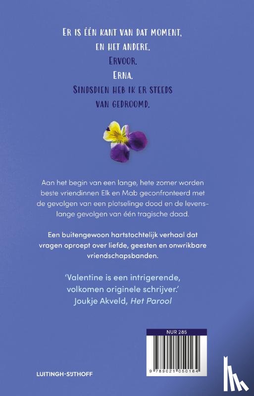 Valentine, Jenny - Wij, ervoor en erna