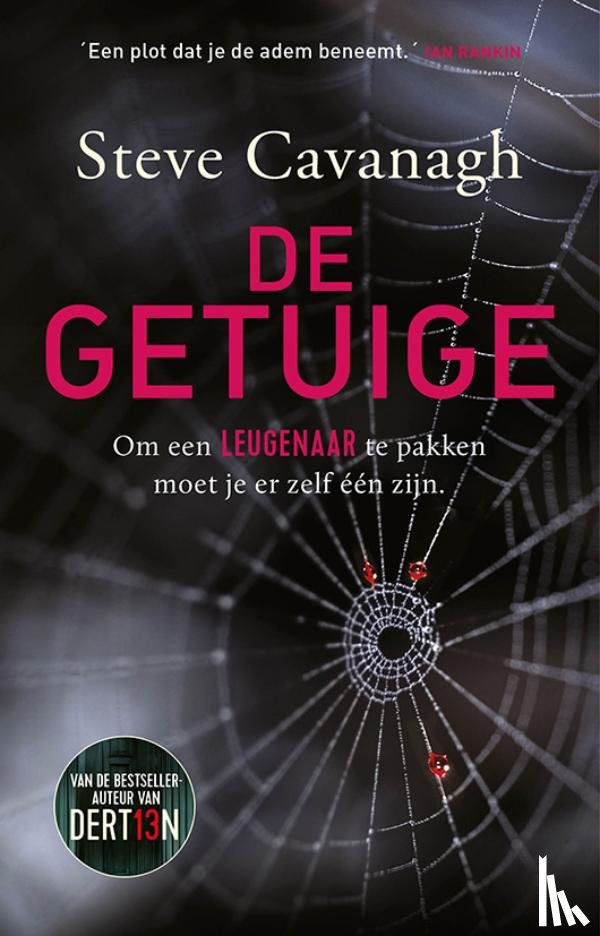 Cavanagh, Steve - De getuige