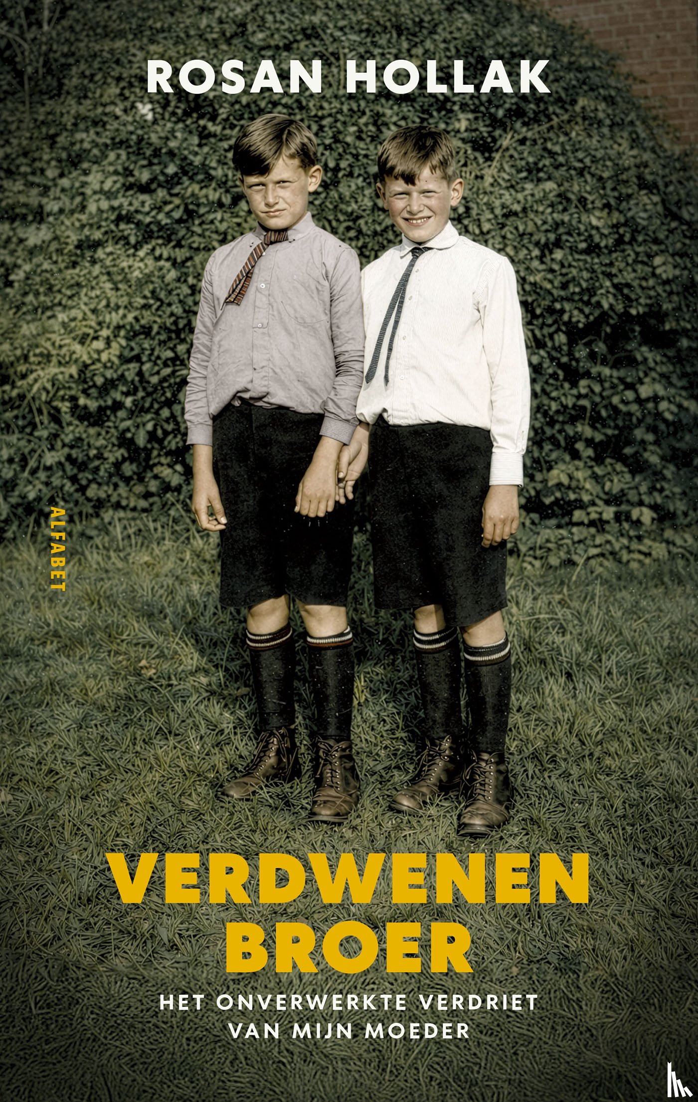 Hollak, Rosan - Verdwenen broer