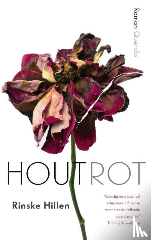 Hillen, Rinske - Houtrot