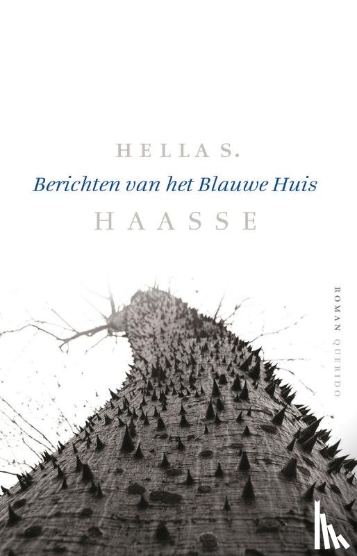 Haasse, Hella S. - Berichten van het Blauwe Huis