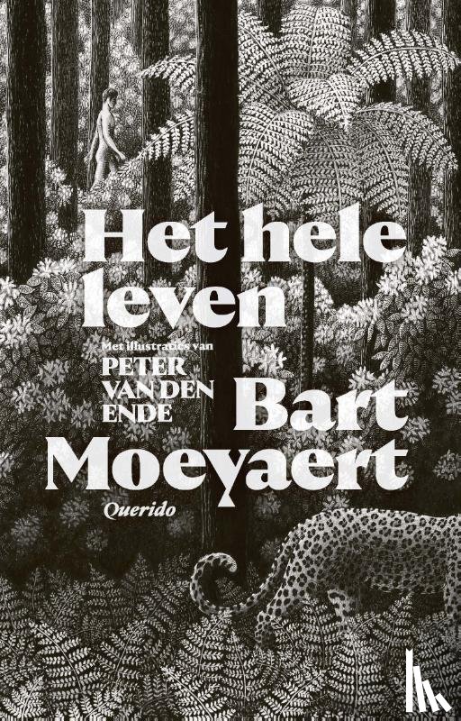 Moeyaert, Bart - Het hele leven