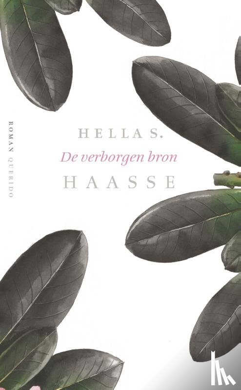 Haasse, Hella S. - De verborgen bron