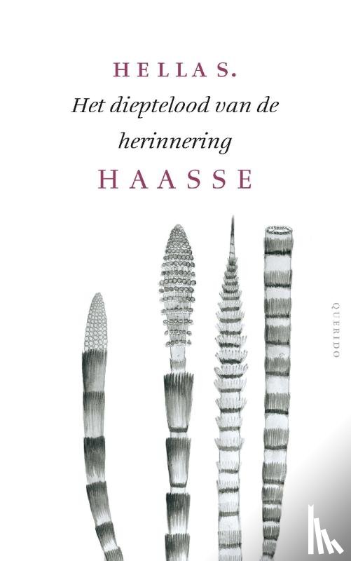 Haasse, Hella S. - Het dieptelood van de herinnering