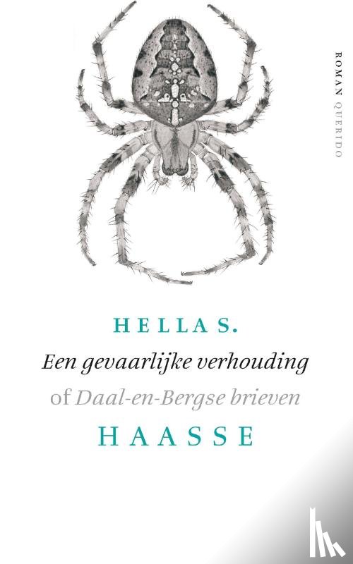 Haasse, Hella S. - Een gevaarlijke verhouding