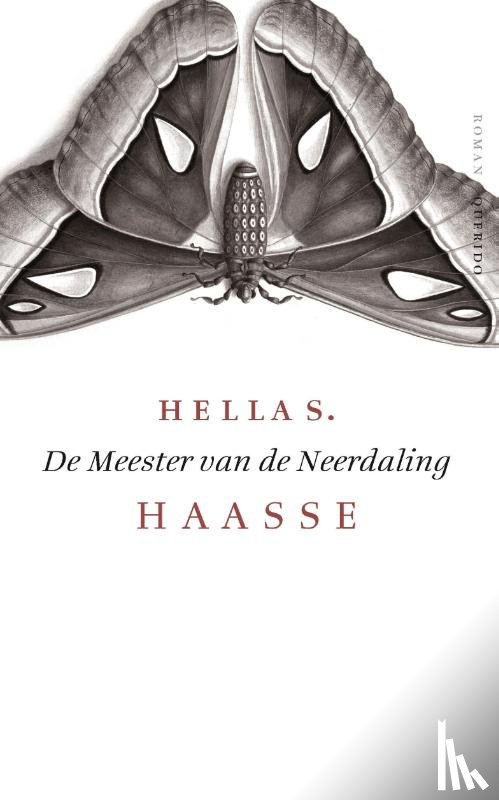 Haasse, Hella S. - De meester van de neerdaling