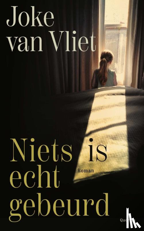 Vliet, Joke van - Niets is echt gebeurd