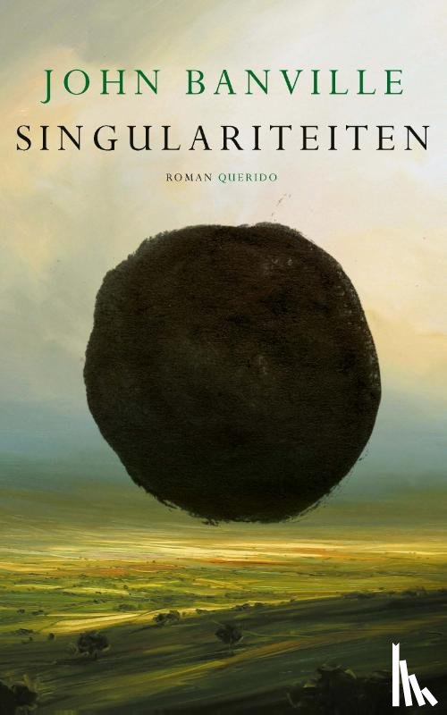 Banville, John - Singulariteiten