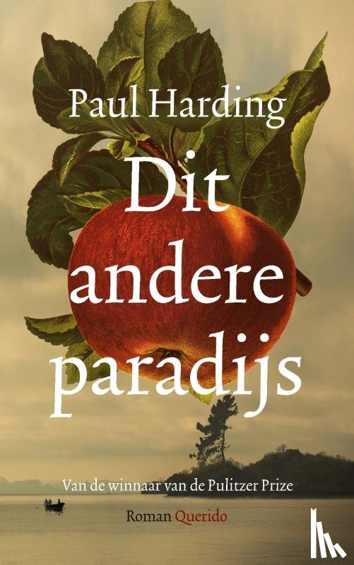 Harding, Paul - Dit andere paradijs