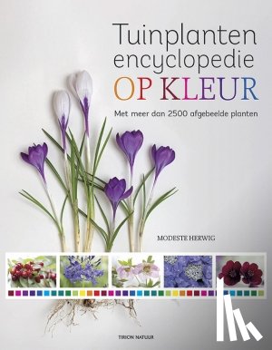 Herwig, Modeste - Tuinplantenencyclopedie op kleur