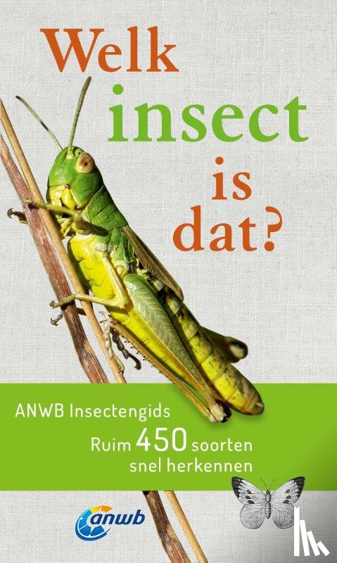 Bellmann, Heiko - Welk insect is dat? ANWB Insectengids