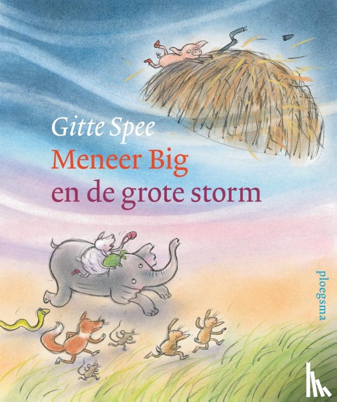 Spee, Gitte - Meneer Big en de grote storm