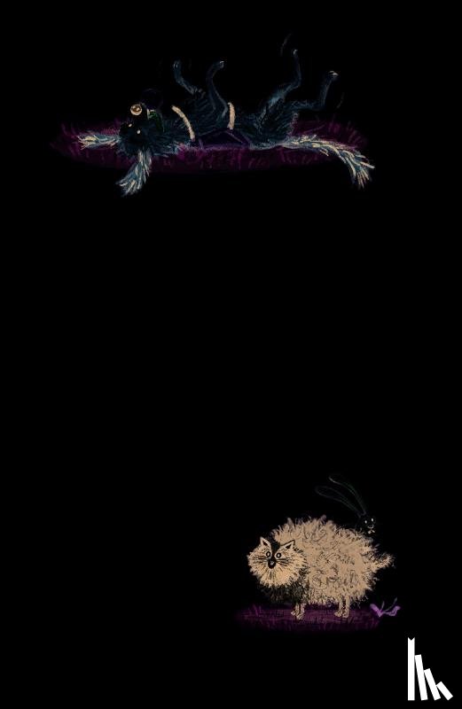 Scholten, Barbara - Sloeber