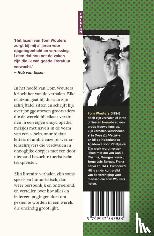 Wouters, Tom - In mijn hoofd zwemmen vissen