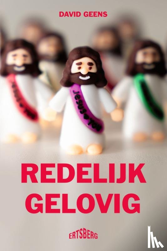 Geens, David - Redelijk gelovig