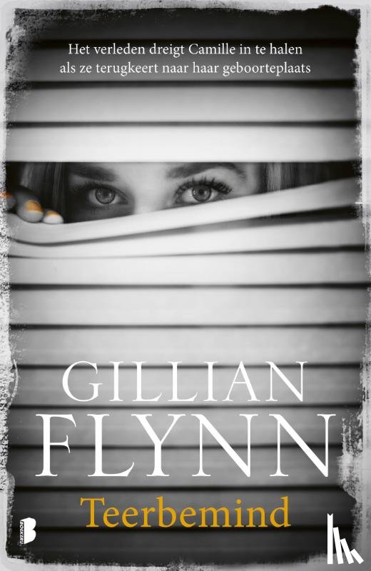 Flynn, Gillian - Teerbemind