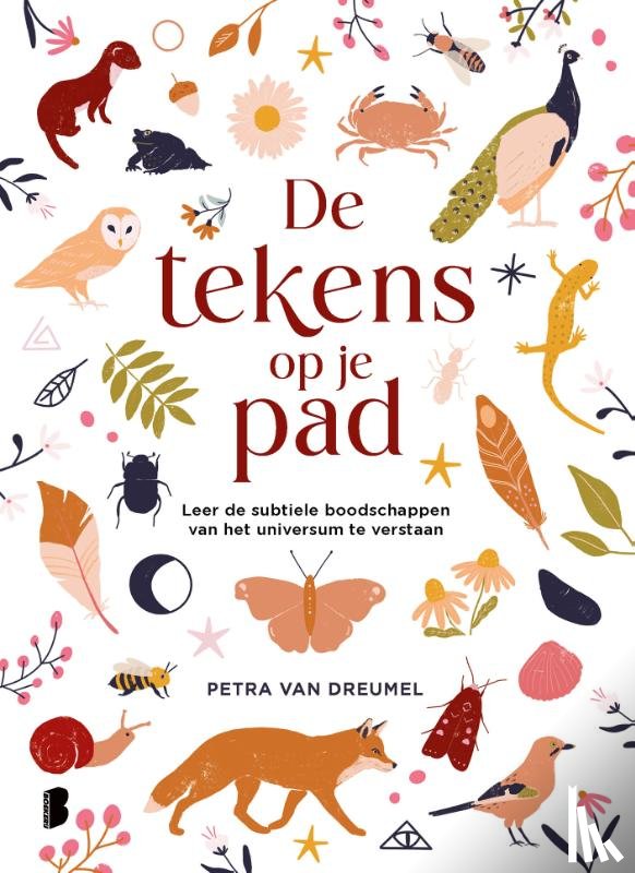 Dreumel - De tekens op je pad