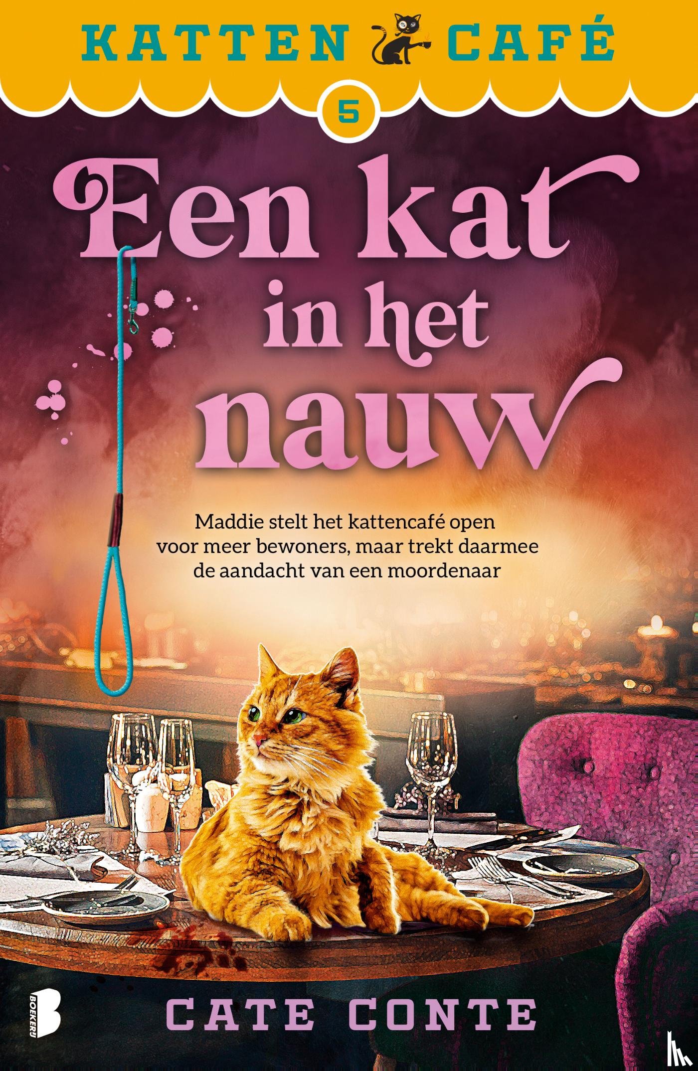 Conte, Cate, Textcase - Een kat in het nauw