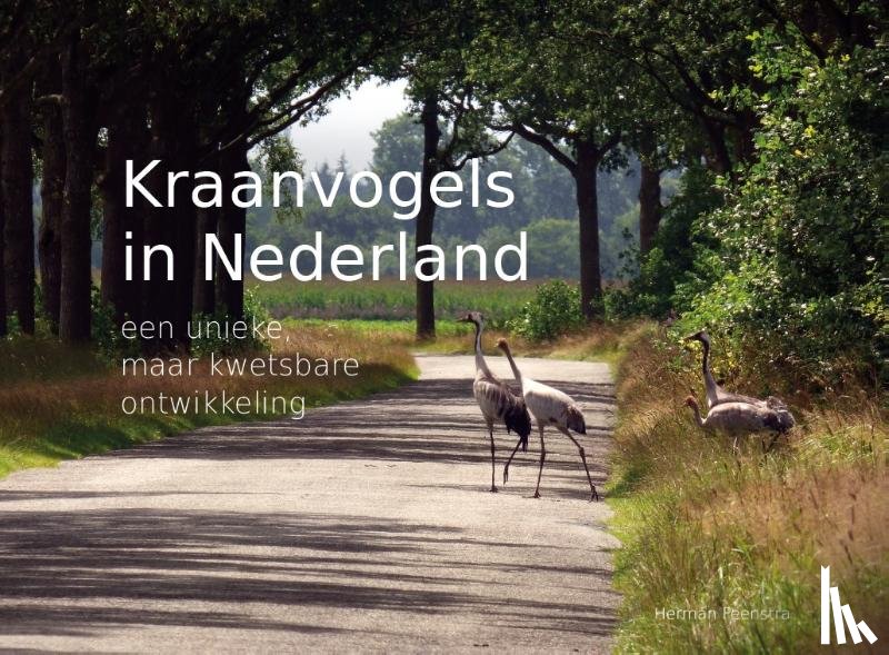 Feenstra, Herman - Kraanvogels in Nederland