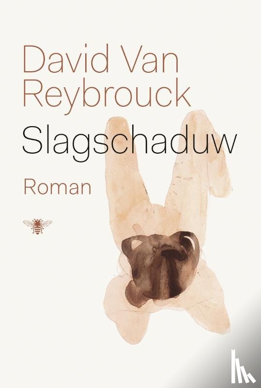 Reybrouck, David Van - Slagschaduw