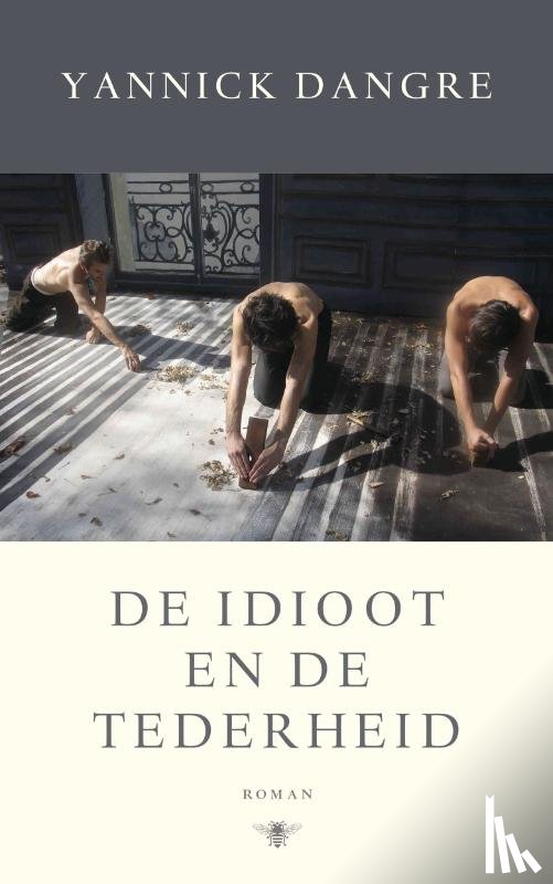 Dangre, Yannick - De idioot en de tederheid