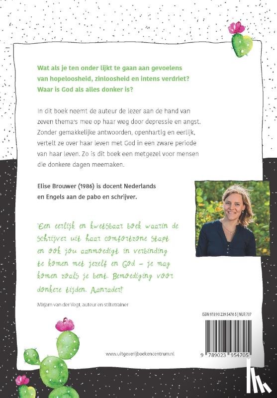 Brouwer, Elise - Woestijnregen