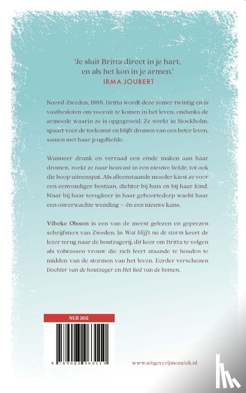 Olsson, Vibeke - Wat blijft na de storm