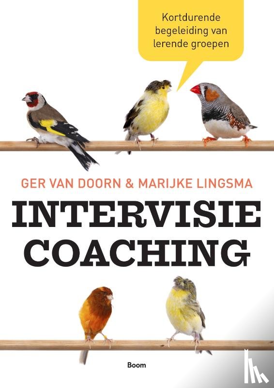 Lingsma, Marijke, Doorn, Ger van - Intervisiecoaching