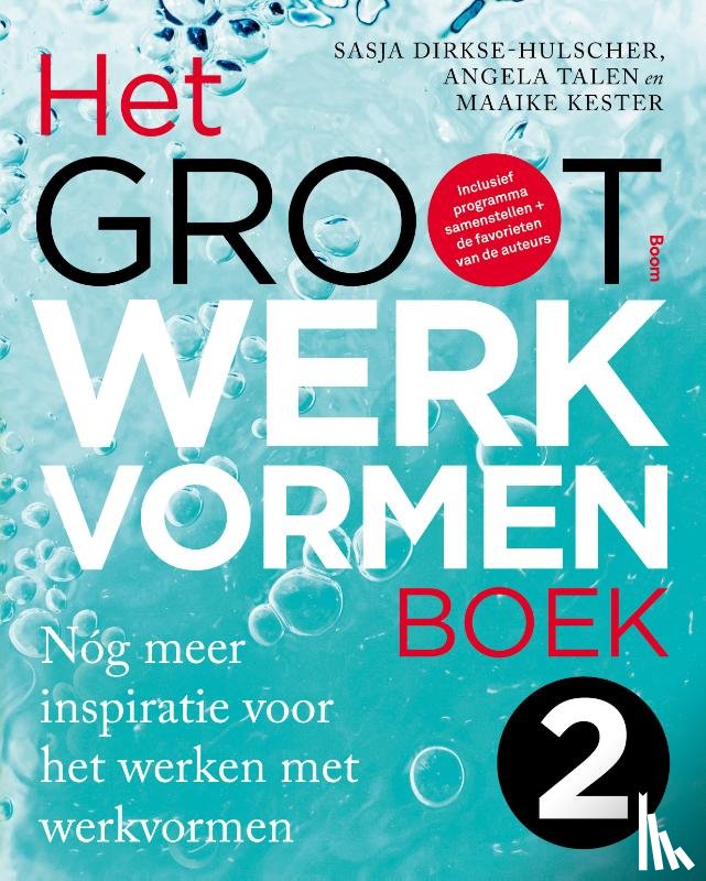 Dirkse-Hulscher, Sasja, Talen, Angela, Kester, Maaike - GROOT WERKVORMENBOEK 2