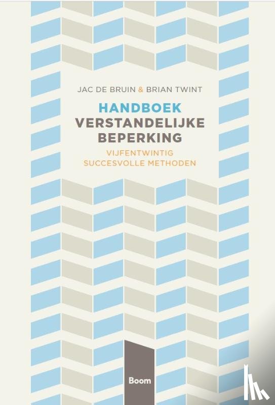  - Handboek verstandelijke beperking