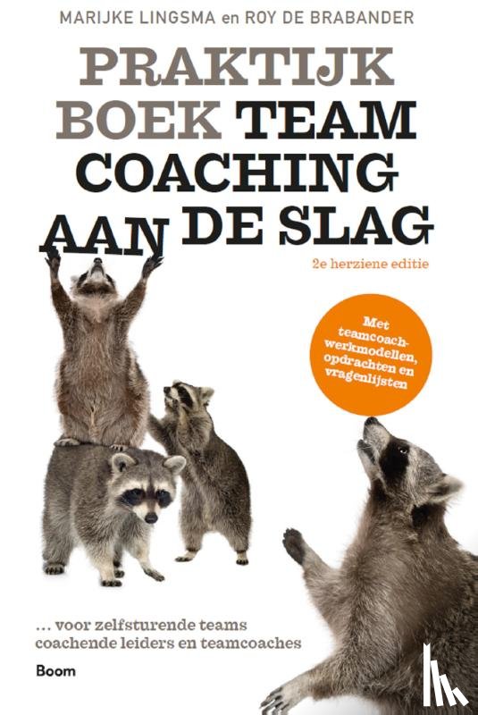 Lingsma, Marijke, Brabander, Roy de - Praktijkboek Teamcoaching, aan de slag