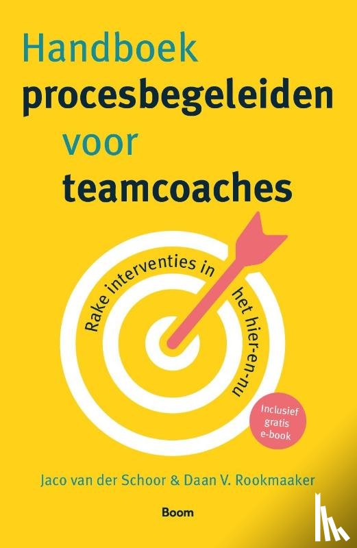 Schoor, Jaco van der, Rookmaaker, Daan V. - Handboek procesbegeleiden voor teamcoaches