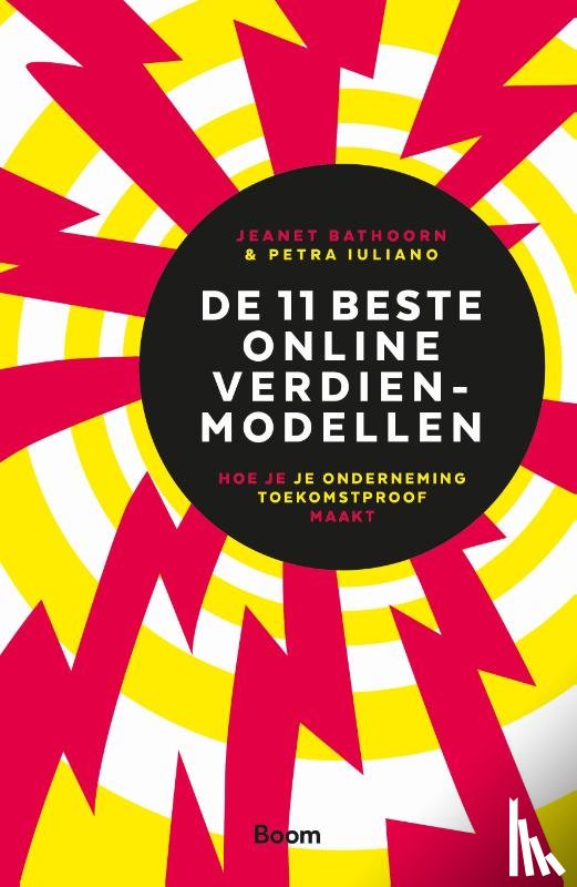 Bathoorn, Jeanet, Iuliano, Petra - De 11 beste Online verdienmodellen