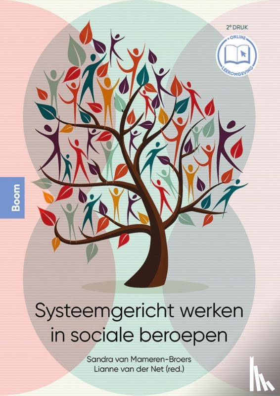  - Systeemgericht werken in sociale beroepen