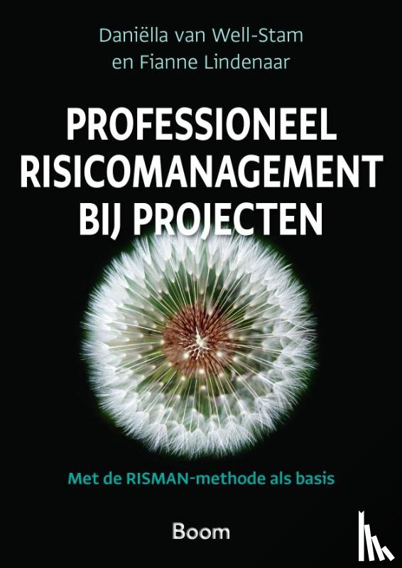 Well-Stam, Daniella van, Lindenaar, Fianne - Professioneel risicomanagement bij projecten