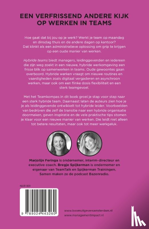 Feringa, Marjolijn, Spijkerman, Bregje - Hybride teams