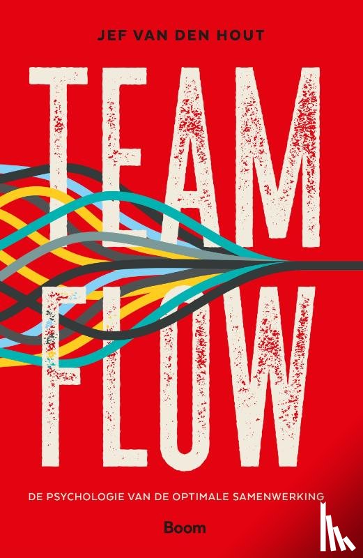 Hout, Jef van den - Teamflow