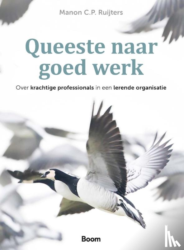 Ruijters, Manon C.P. - Queeste naar goed werk