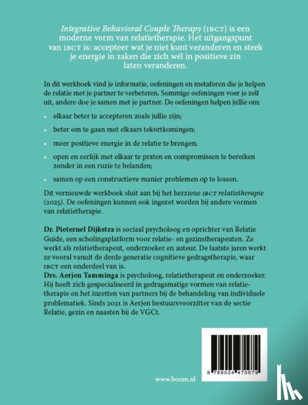 Dijkstra, Pieternel, Tamminga, Aerjen - Werkboek IBCT relatietherapie